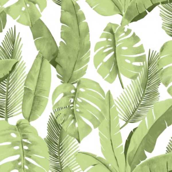 Papel de Parede Verde Atemporal Folhagens 3702