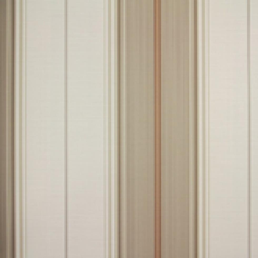 Papel de Parede Classic CT889102