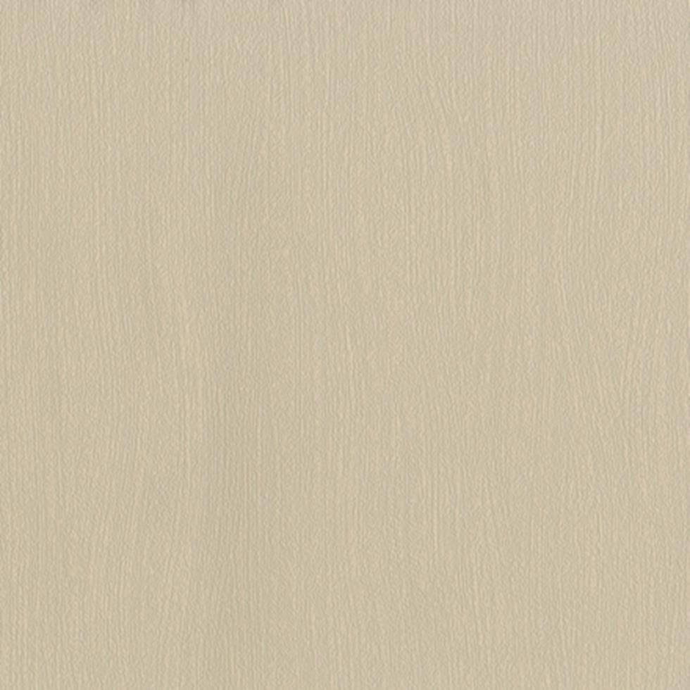 Papel de Parede Dandelion Alemão TNT 4246-60