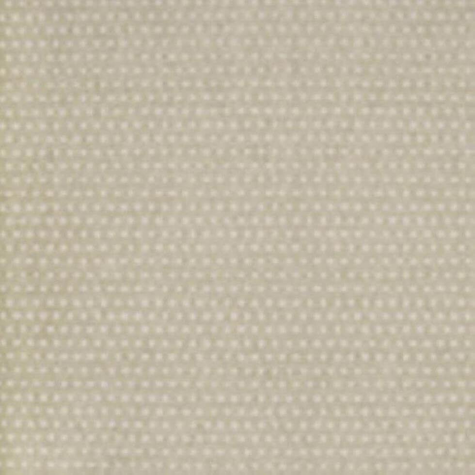Papel de Parede Risky Business RB4284