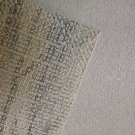 Papel de Parede Texturizado Savana Clair PA1005