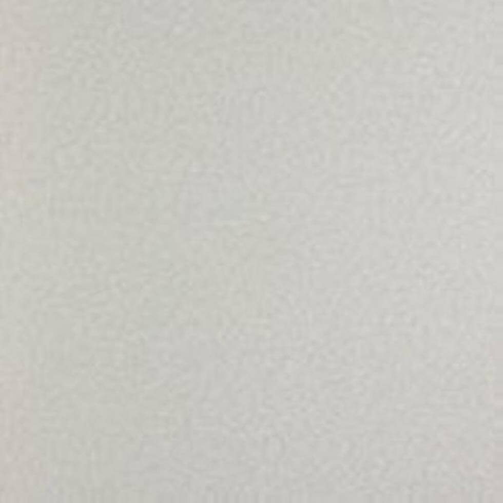 Papel de Parede Tropical Texture 510601