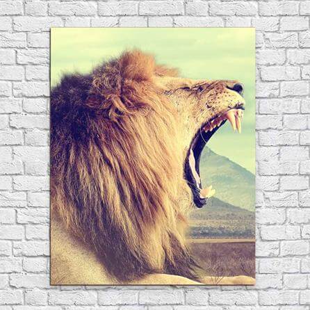 Poster Decorativo Leão Safári 367384340
