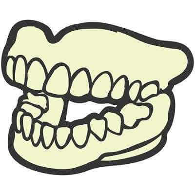 Adesivo Decorativo Dentadura Medida 0,73x0,59 Metros - Papel na Parede