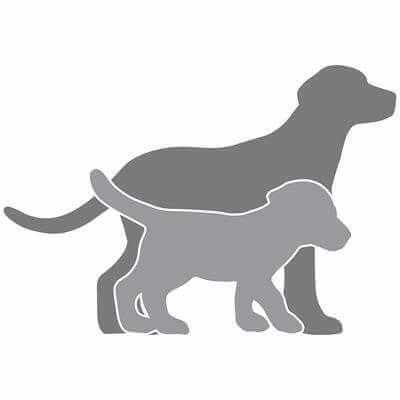 Adesivo Decorativo - Dois Cachorros - Medidas 0,85x0,59M