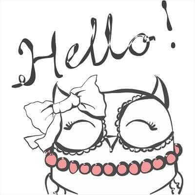 Adesivo Decorativo Hello Coruja Medidas 0,59x0,66 Metros (Olá!) - Papel na Parede