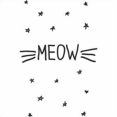 Adesivo Decorativo Meow Medidas 0,59x0,88 Metros (Miau) - Papel na Parede