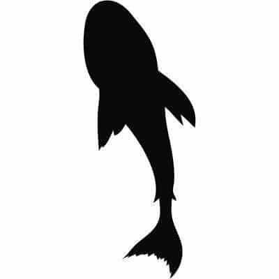 Adesivo Decorativo - Tubarao 101 - Medidas 0,59x1,46M - Papel na Parede