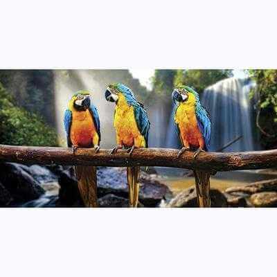 Painel Fotográfico Araras na Frente de uma Cachoeira - Papel na Parede