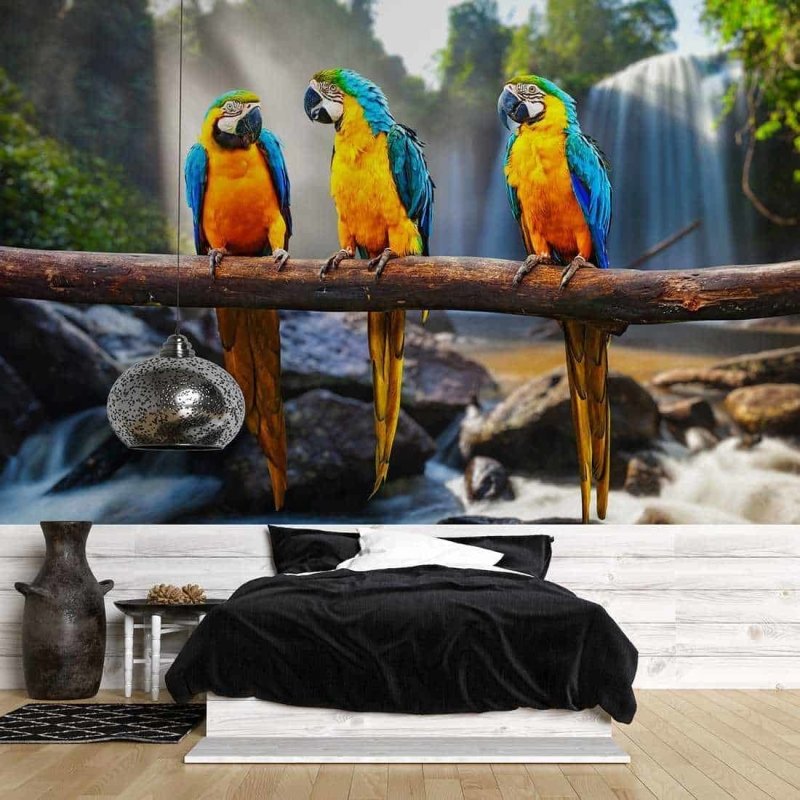 Painel Fotográfico Araras na Frente de uma Cachoeira - Papel na Parede