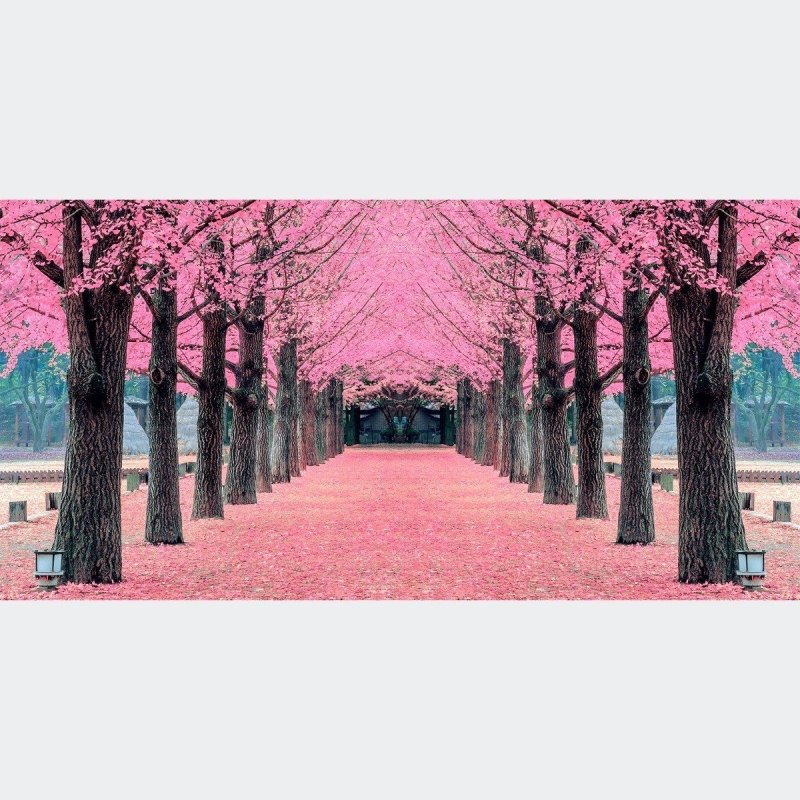 Painel Fotográfico Árvores Rosa N016133 - Papel na Parede