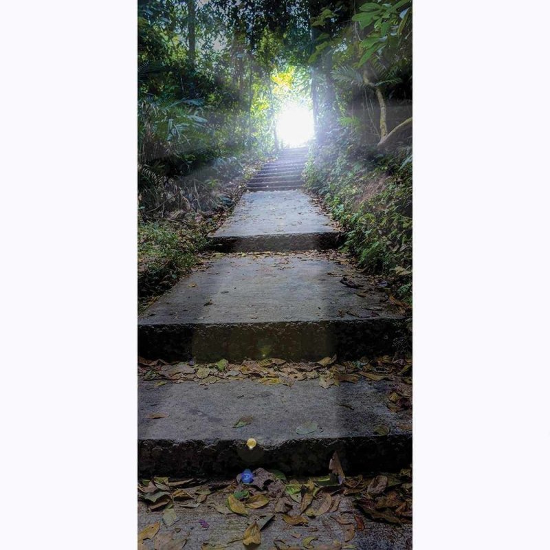 Painel Fotográfico Caminhando para a Luz - Papel na Parede