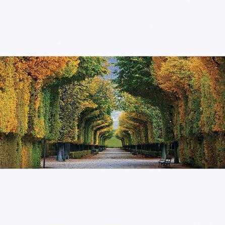 Painel Fotográfico Caminho pelo Parque no Outono - Papel na Parede