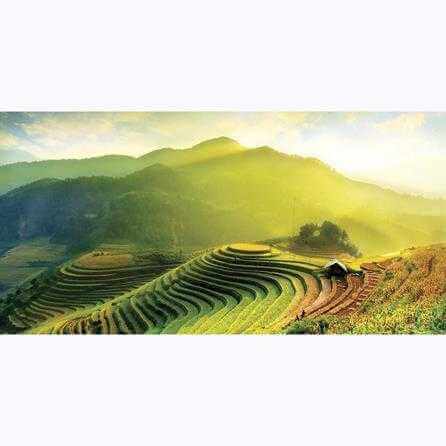 Painel Fotográfico Campos arroz Vietnã - Papel na Parede