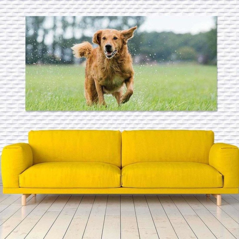 Painel Fotográfico Cão Correndo - Papel na Parede
