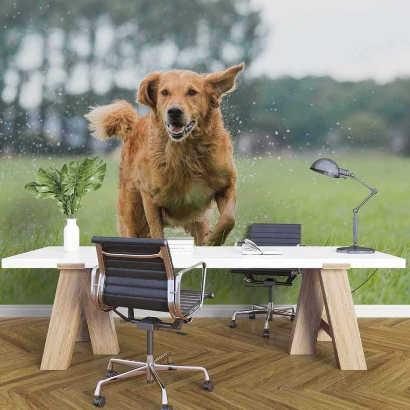 Painel Fotográfico Cão Correndo - Papel na Parede