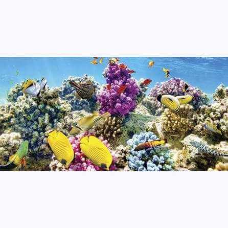 Painel Fotográfico Corais peixes Tropicais - Papel na Parede
