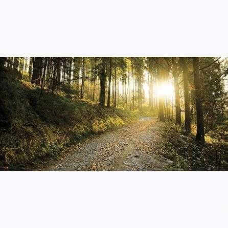 Painel Fotográfico Floresta da Montanha - Papel na Parede