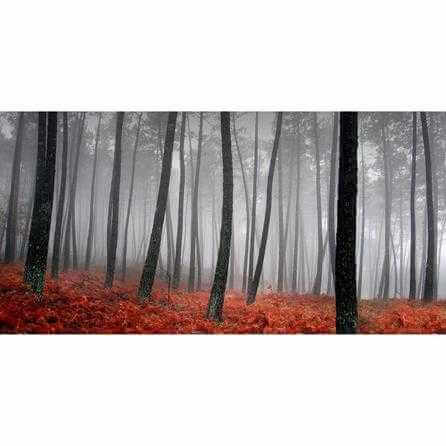 Painel Fotográfico Floresta Folhas Outono 8436919 - Papel na Parede