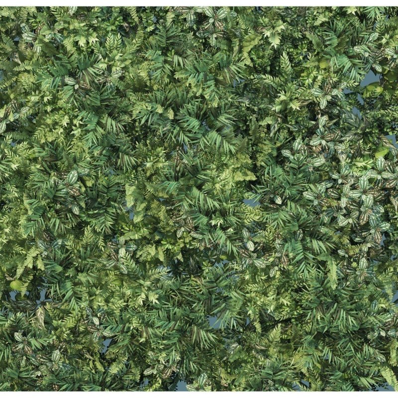 Painel Fotográfico Folhas Verdes N016104 - Papel na Parede