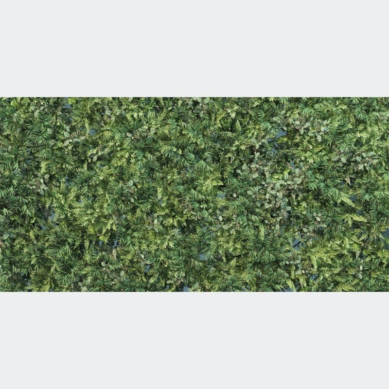 Painel Fotográfico Folhas Verdes N016104 - Papel na Parede