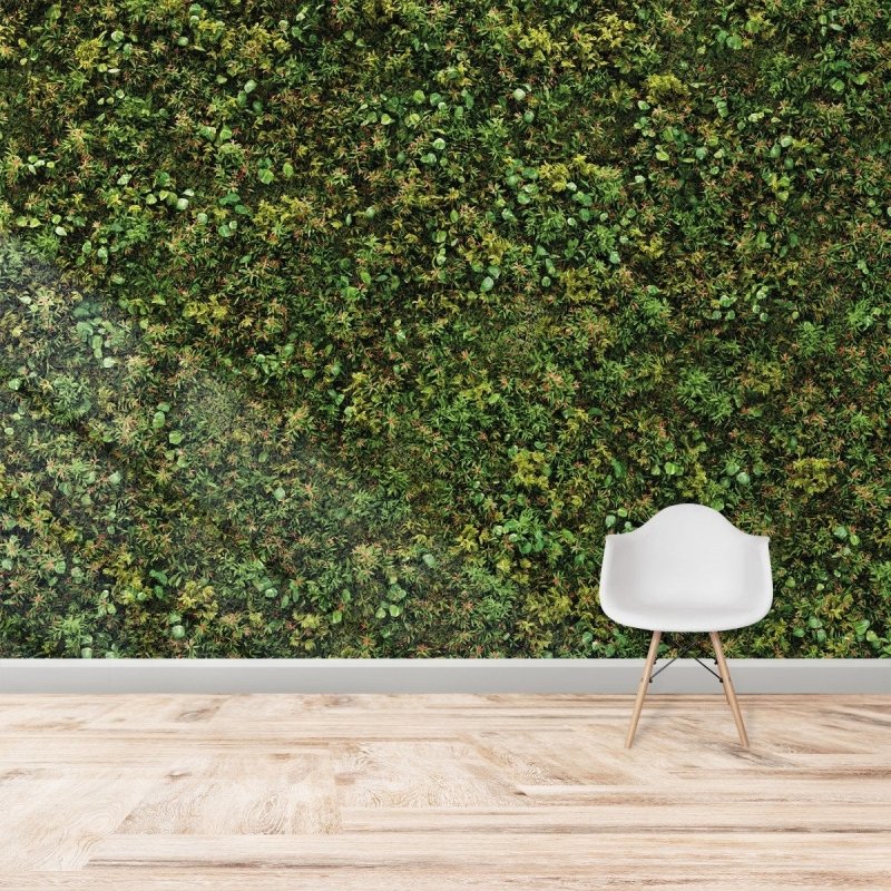 Painel Fotográfico Folhas Verdes N016105 - Papel na Parede