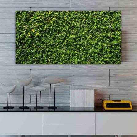 Painel Fotográfico Jardim Grama Verde 174448205 - Papel na Parede