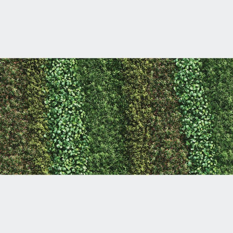 Painel Fotográfico Jardim Vertical Folhas Verdes N017142 - Papel na Parede