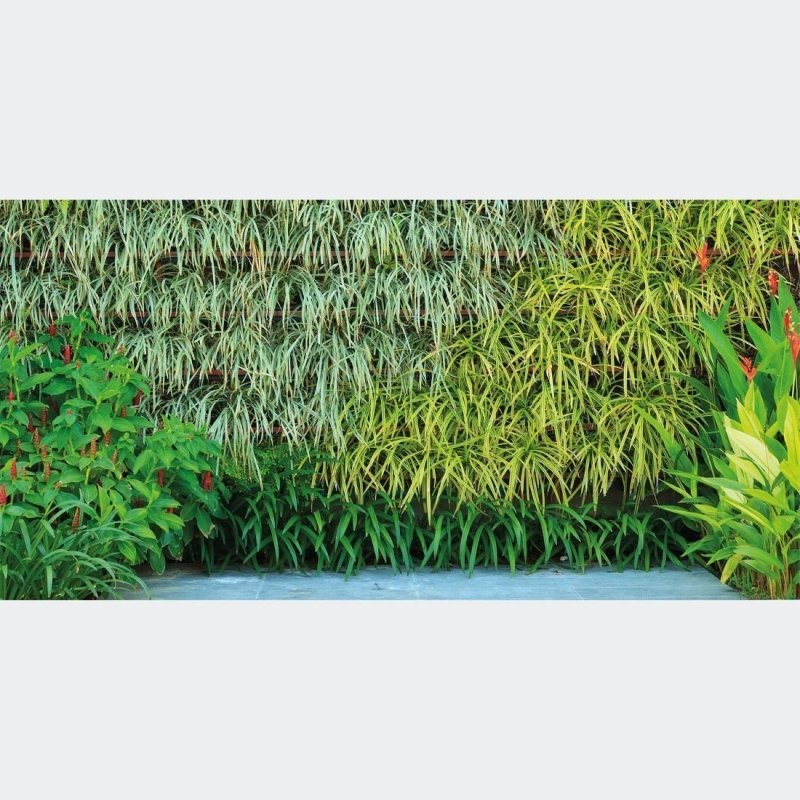 Painel Fotográfico Jardim Vertical Folhas Verdes N017143 - Papel na Parede