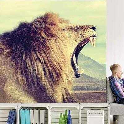 Painel Fotográfico Leão selvagem Africano - Papel na Parede