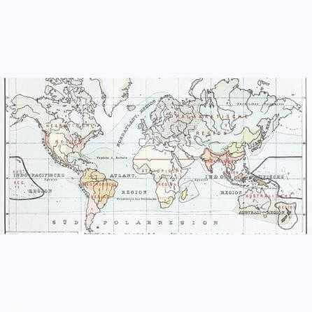 Painel Fotográfico Mapa Mundi 2 - Papel na Parede