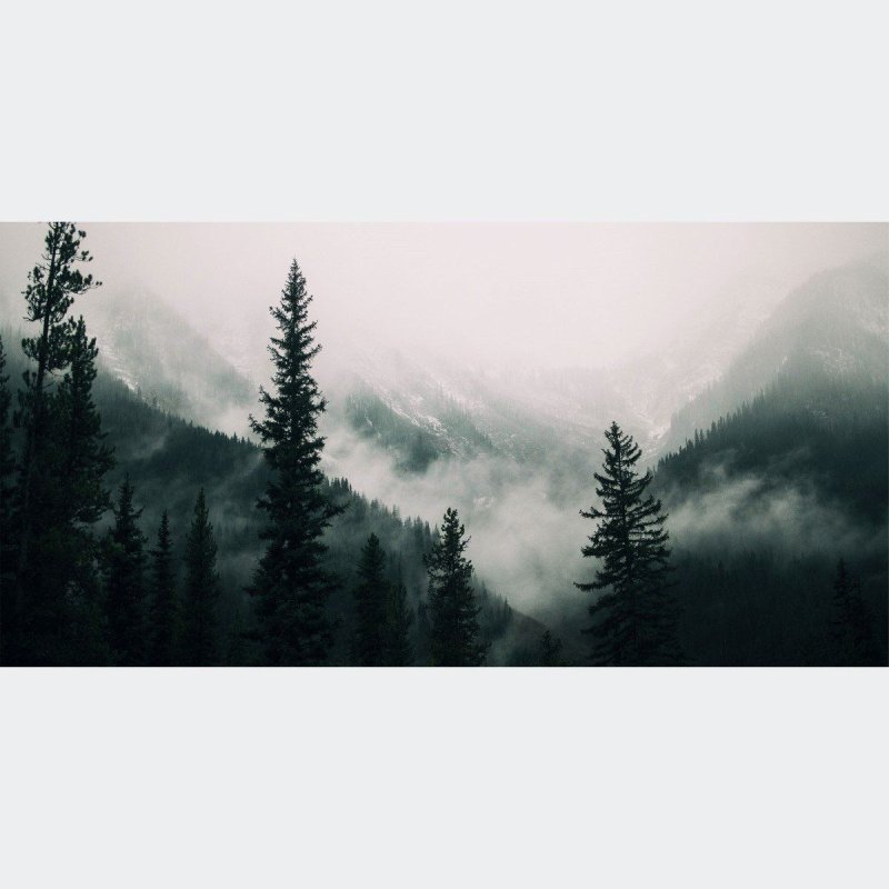 Painel Fotográfico Montanhas E Pinheiros Na Neblina N016147 - Papel na Parede