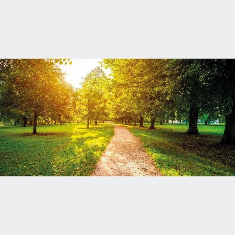 Painel Fotográfico Paisagem Arvores Parque N016127 - Papel na Parede