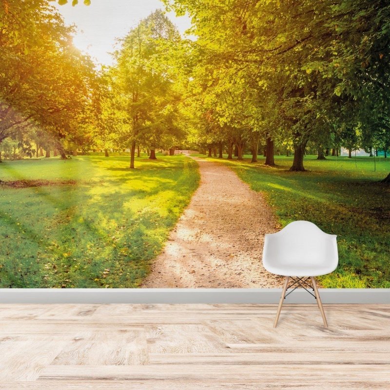 Painel Fotográfico Paisagem Arvores Parque N016127 - Papel na Parede