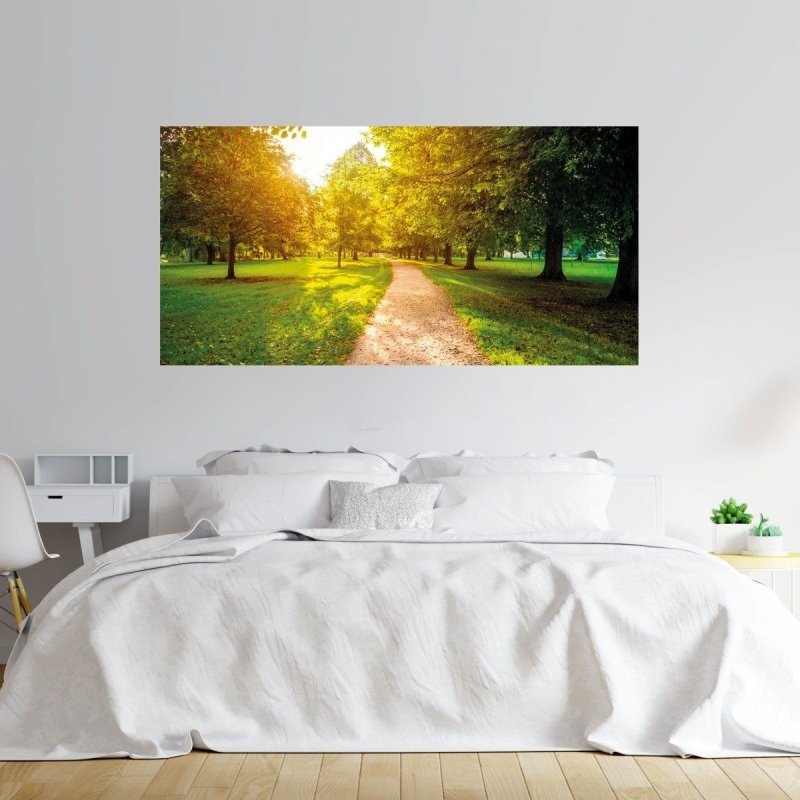 Painel Fotográfico Paisagem Arvores Parque N016127 - Papel na Parede