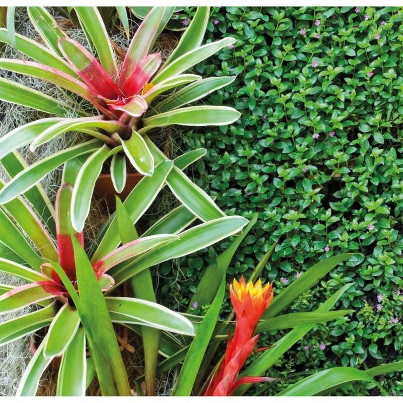 Painel Fotográfico Paisagem Jardim N016108 - Papel na Parede