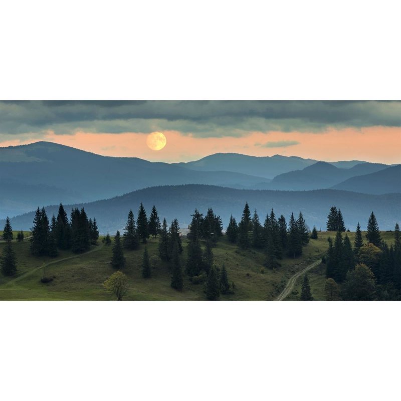 Painel Fotográfico Paisagem Montanha E Pinheiros N09294 - Papel na Parede