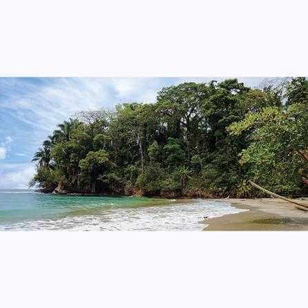 Painel Fotográfico Praia costa Rica - Papel na Parede