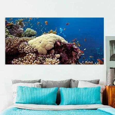 Painel Fotográfico Recife de Coral Colorido - Papel na Parede