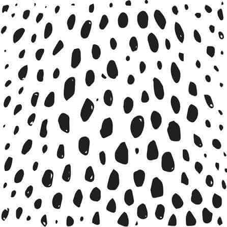 Papel de Parede Adesivo Animal Print Animal Print Branco Preto 5196722838 - Papel na Parede