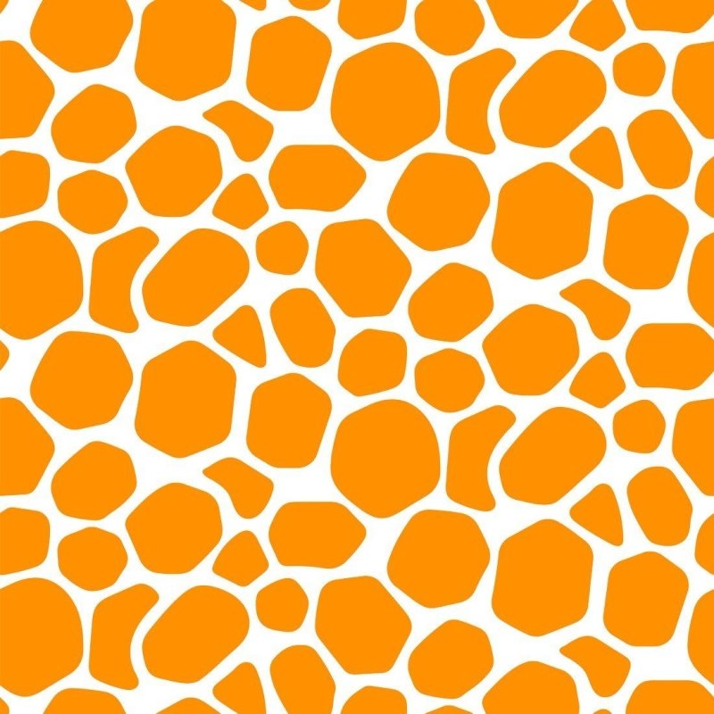 Papel de Parede Adesivo Animal Print N013149 - Papel na Parede