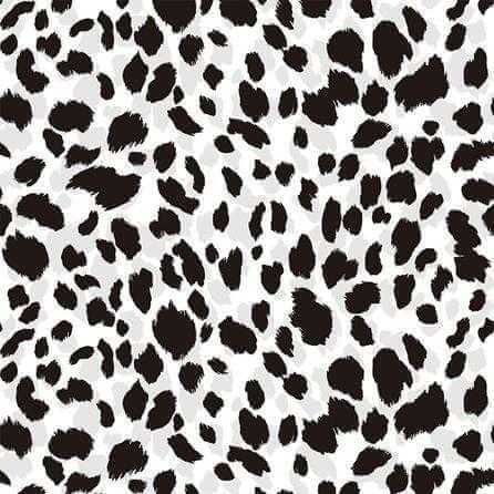 Papel de Parede Adesivo Animal Print Onça Preta 334741931 - Papel na Parede