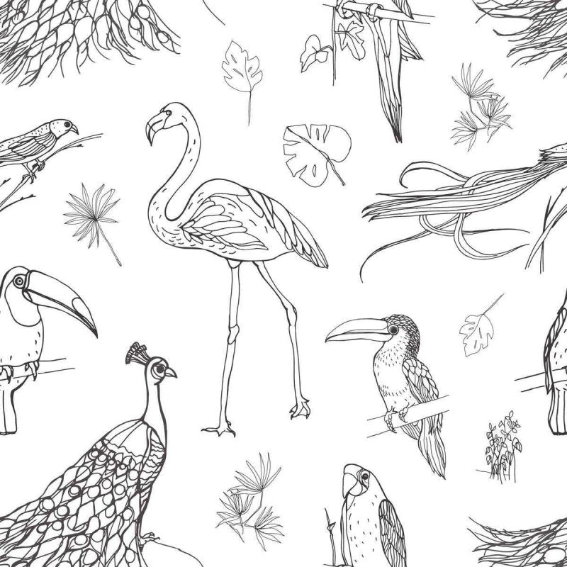 Papel de Parede Adesivo Aves Tropicais em Preto e Branco N07054 - Papel na Parede