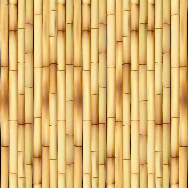 Papel de Parede Adesivo Bambu 195719759 - Papel na Parede