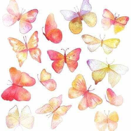 Papel de Parede Adesivo Borboletas Colorida 349599194 - Papel na Parede