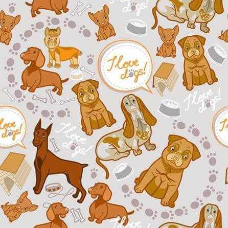 Papel de Parede Adesivo Cachorros 115489945 - Papel na Parede