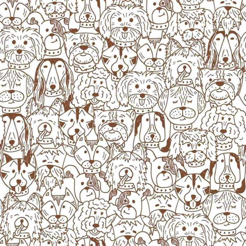 Papel de Parede Adesivo Cachorros 335798849 - Papel na Parede