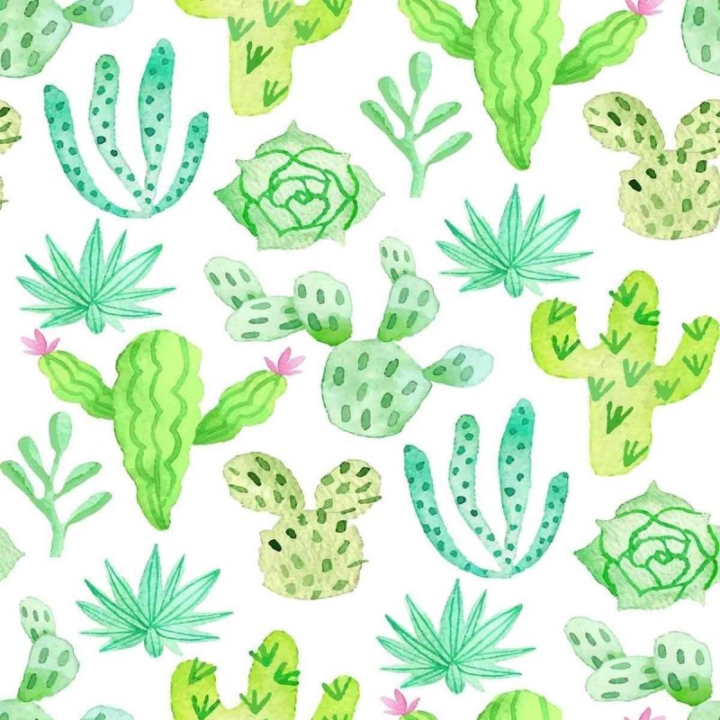 Papel de Parede Adesivo Cactos Aquarela N07001 - Papel na Parede