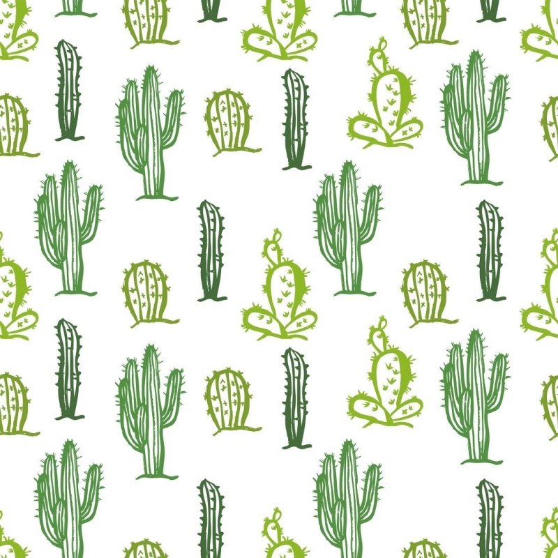 Papel de Parede Adesivo Cactos N019012 - Papel na Parede