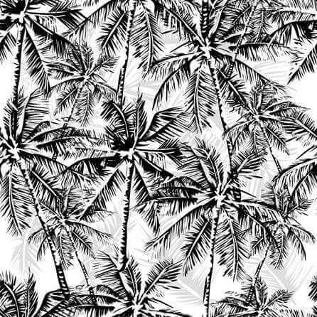 Papel de Parede Adesivo Coqueiro Árvore Natureza Preto Branco 308324408 - Papel na Parede